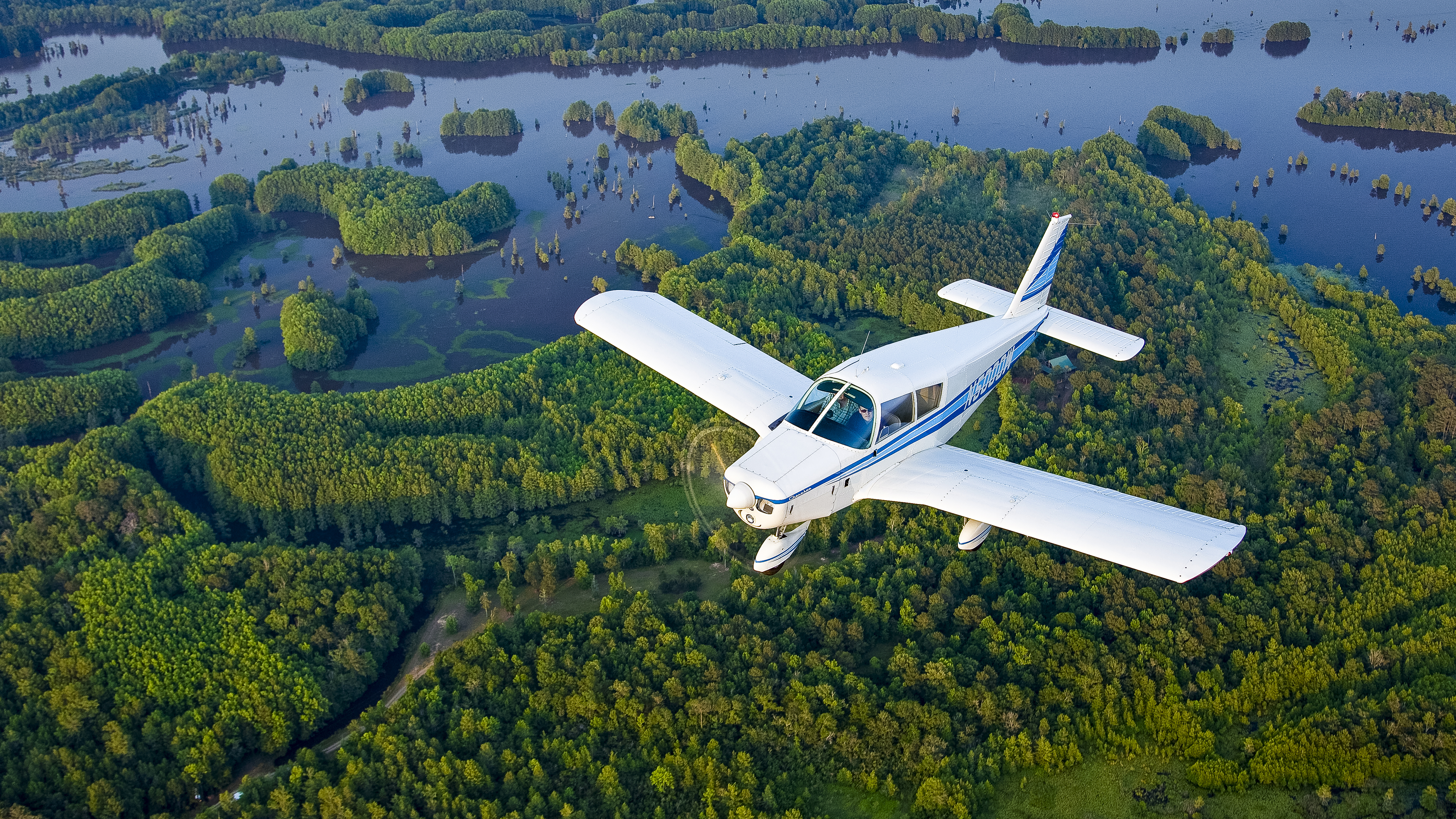 Evaluate your options